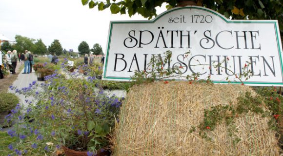 späthsche baumschulen späthsche baumschulen